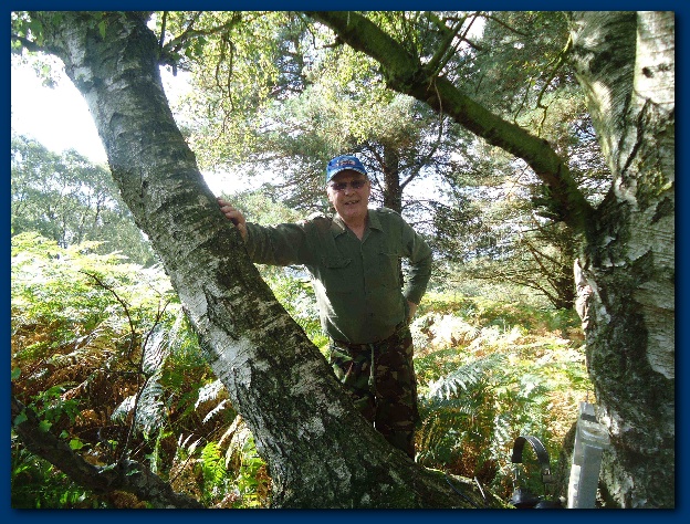 600x449 pixels (221K)